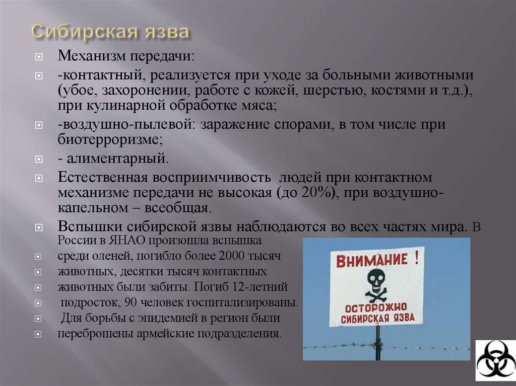 Сибирская язва