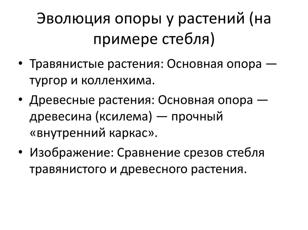 Эволюция опоры у растений (на примере стебля)