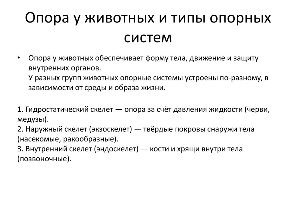 Опора у животных и типы опорных систем