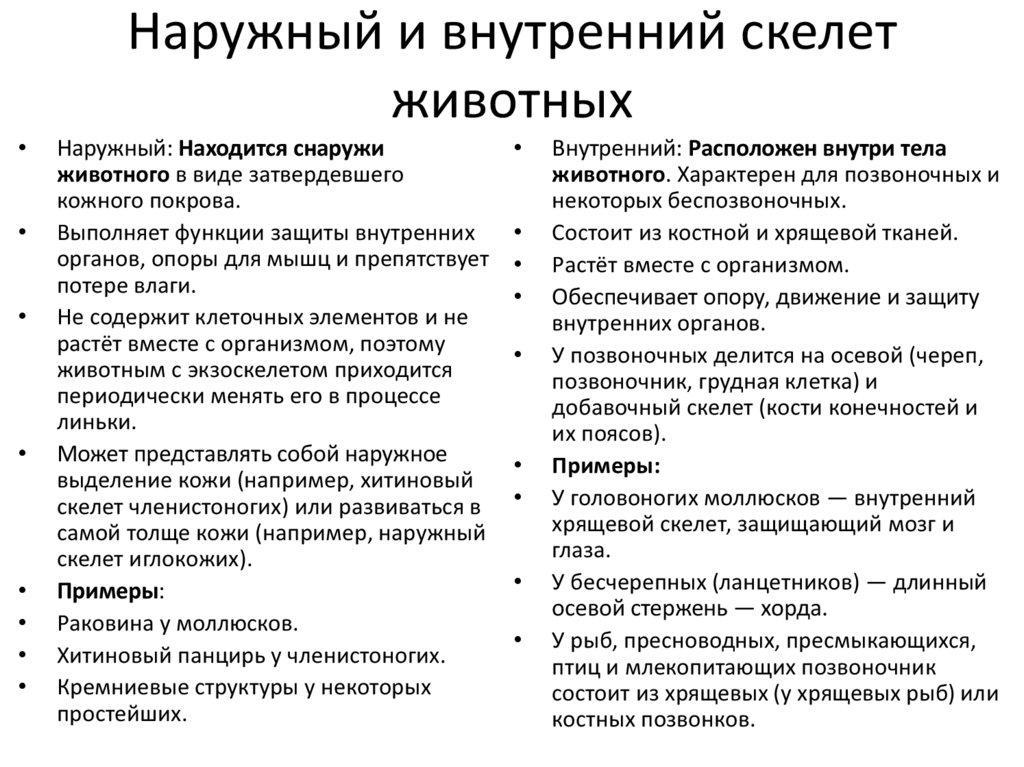 Наружный и внутренний скелет животных
