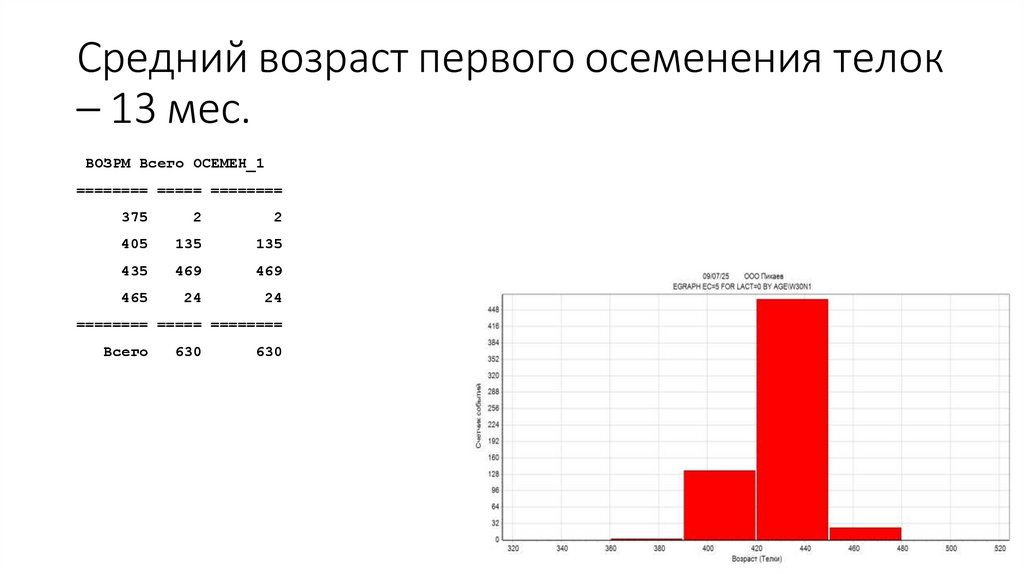 Средний возраст первого осеменения телок – 13 мес.