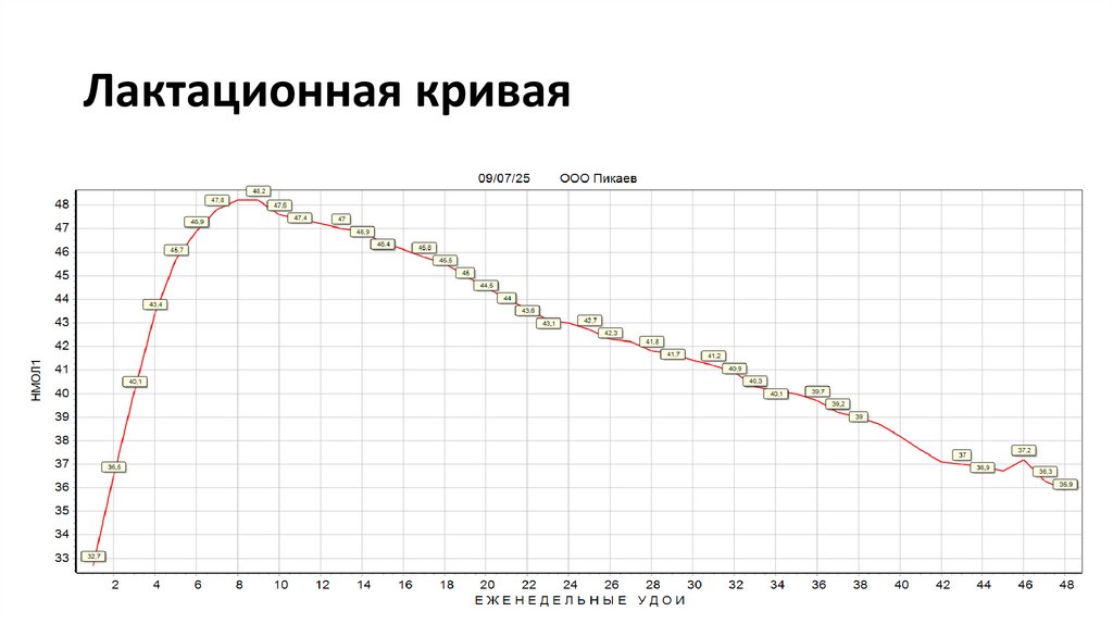 Лактационная кривая