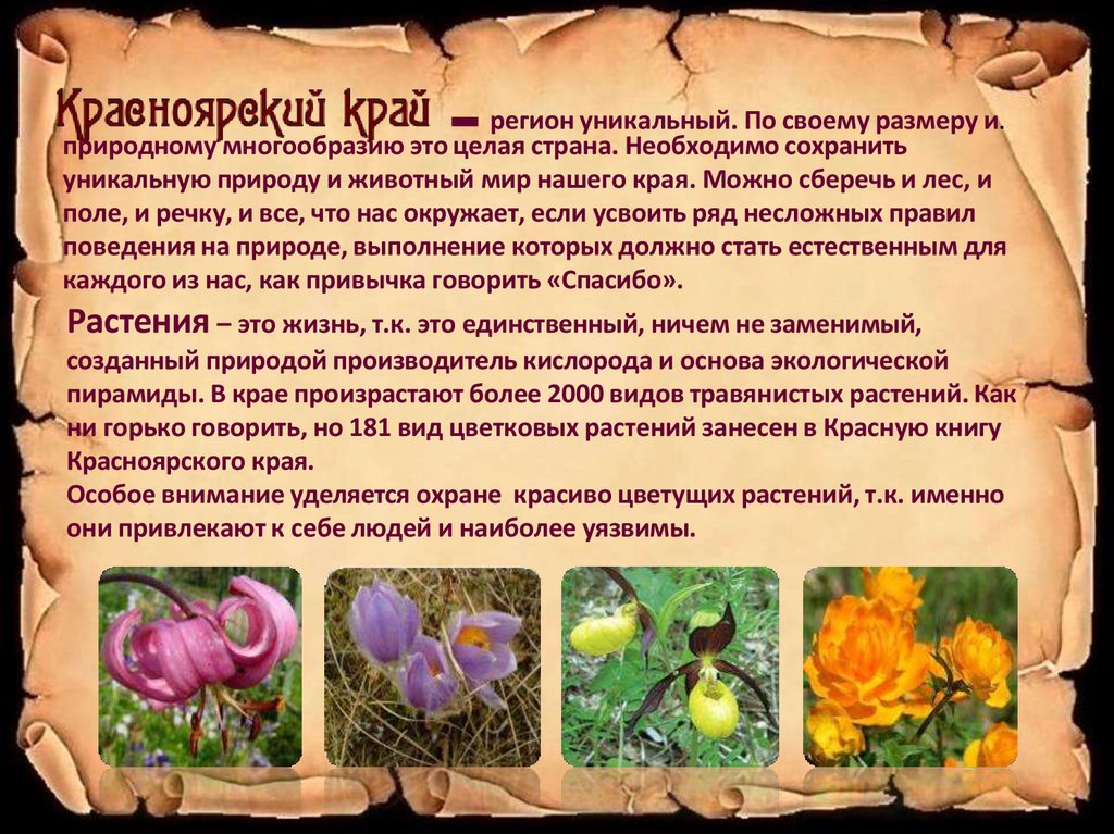 природному многообразию это целая страна. Необходимо сохранить