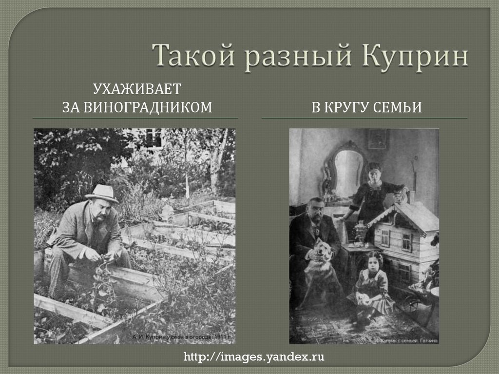 Такой разный Куприн