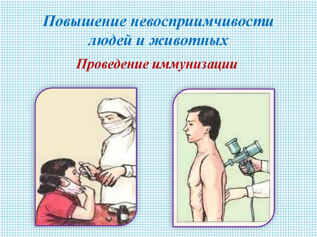 Повышение невосприимчивости людей и животных