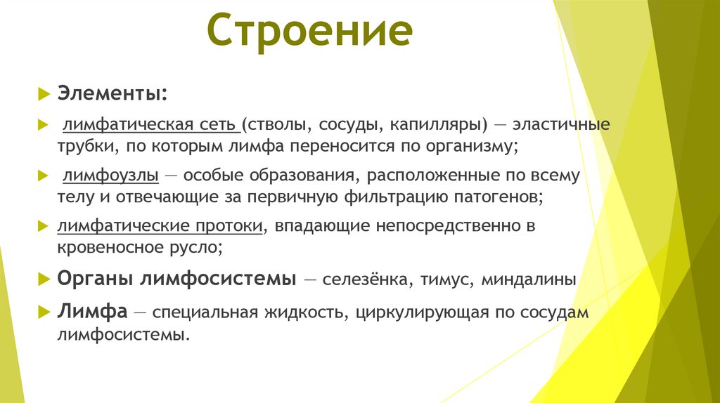 Строение