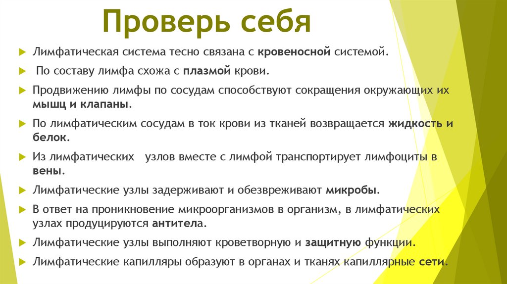 Проверь себя