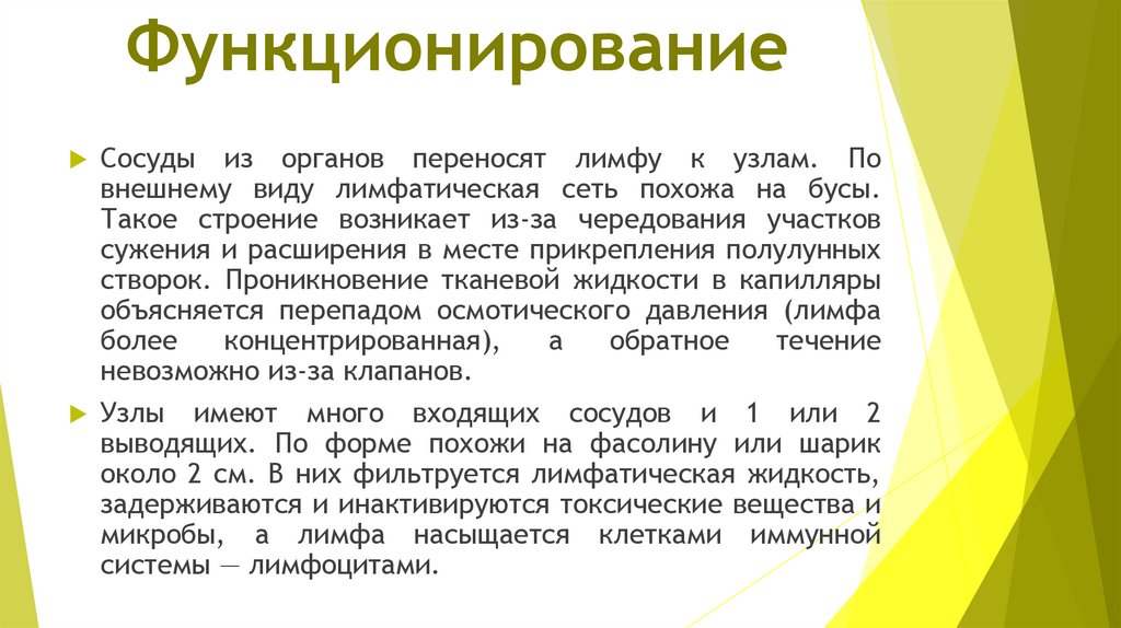 Функционирование