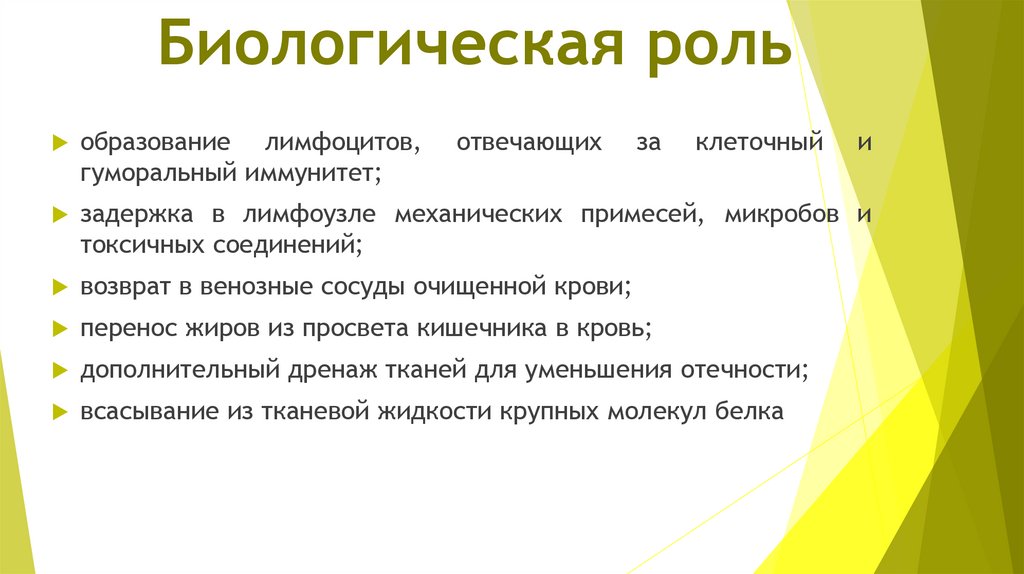 Биологическая роль