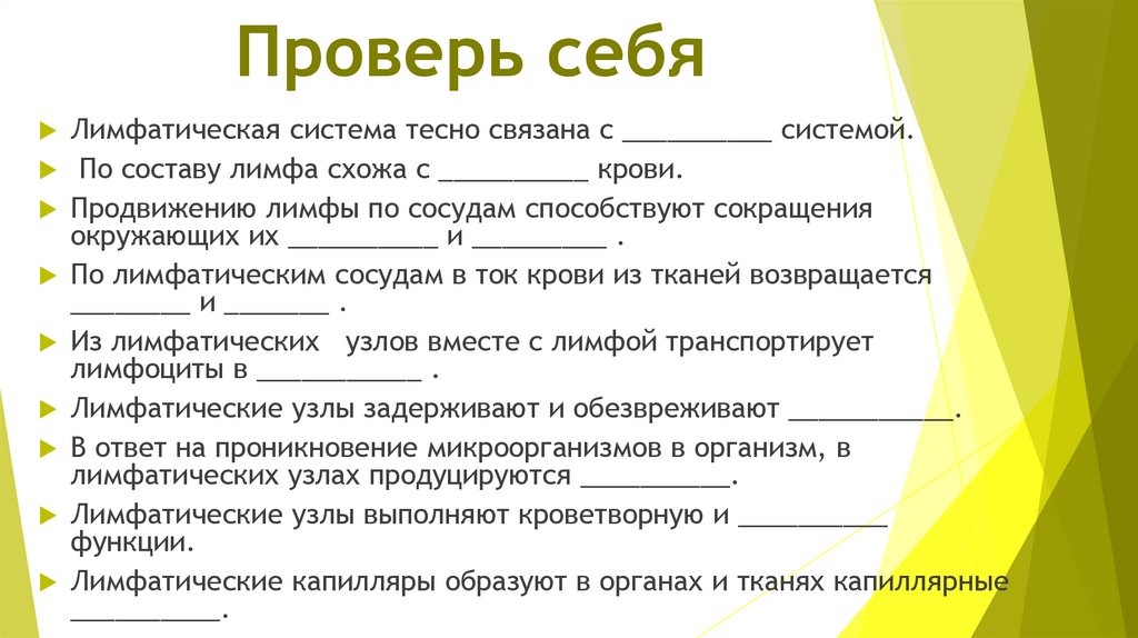 Проверь себя