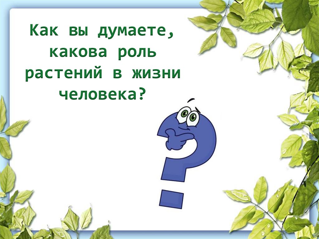 Как вы думаете, какова роль растений в жизни человека?