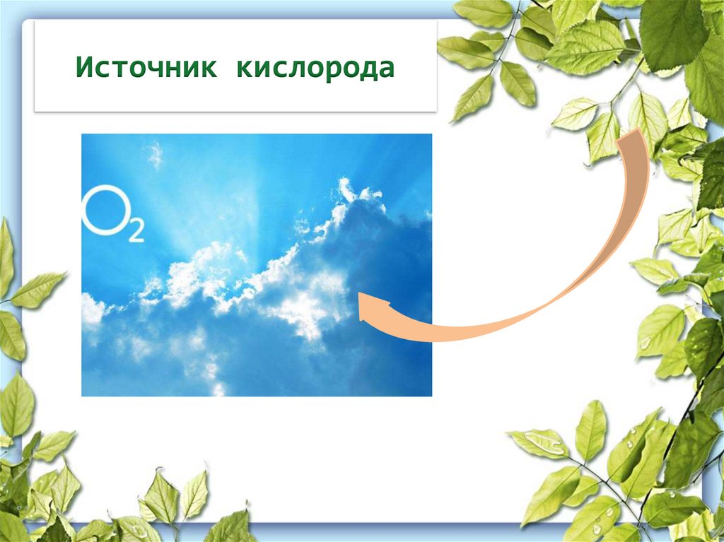 Источник кислорода