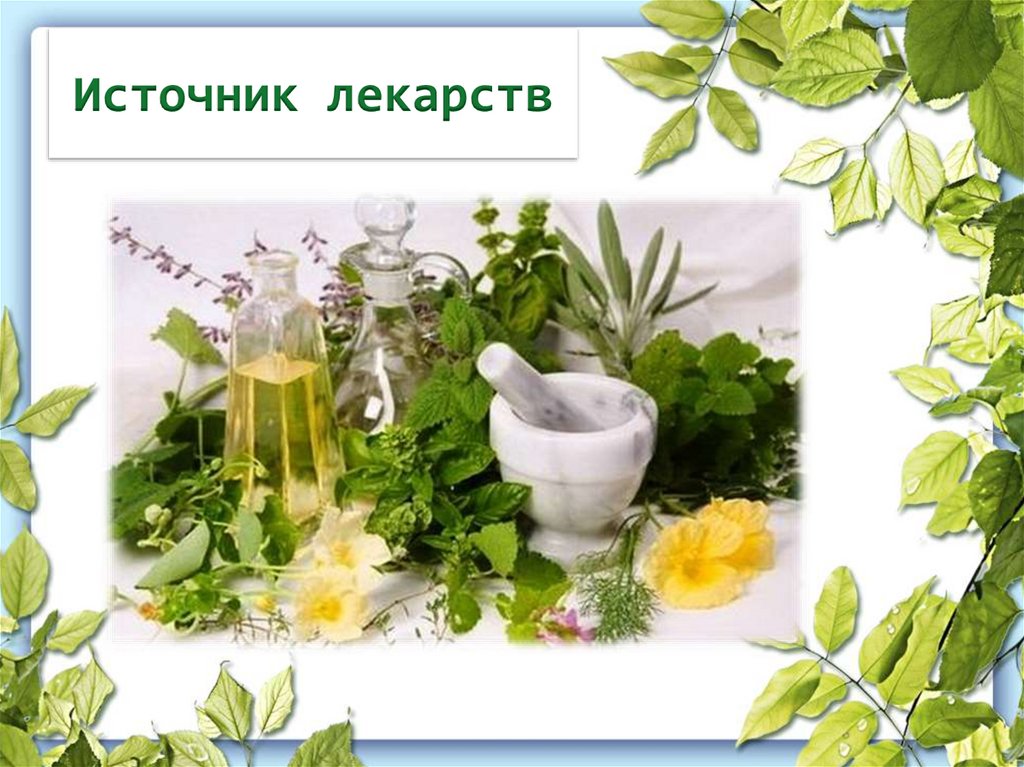 Источник лекарств