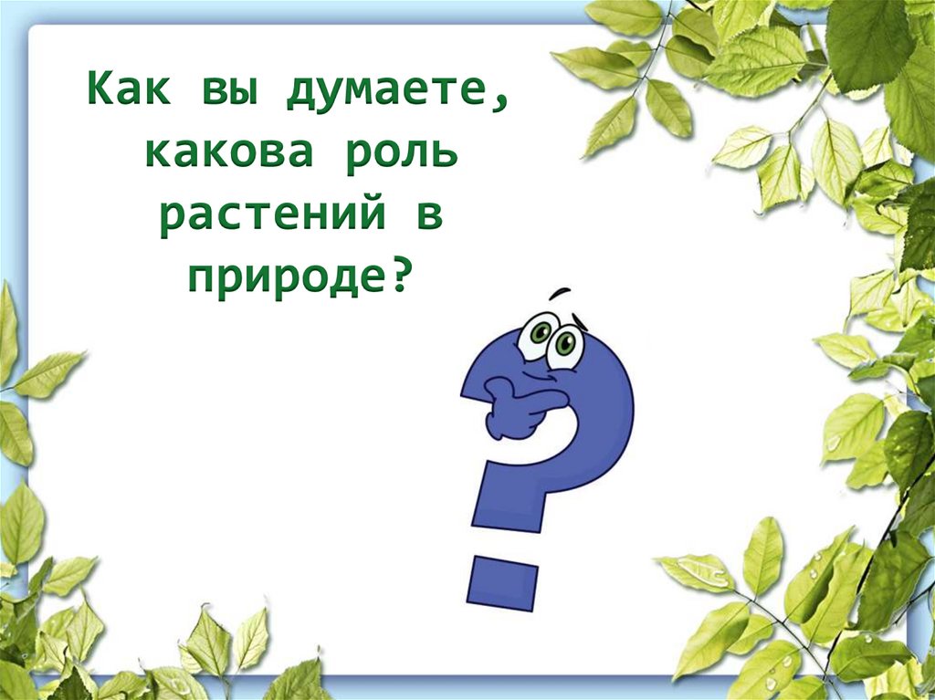 Как вы думаете, какова роль растений в природе?