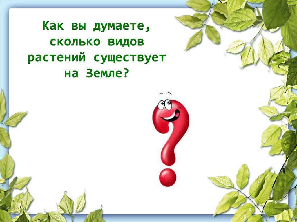 Как вы думаете, сколько видов растений существует на Земле?