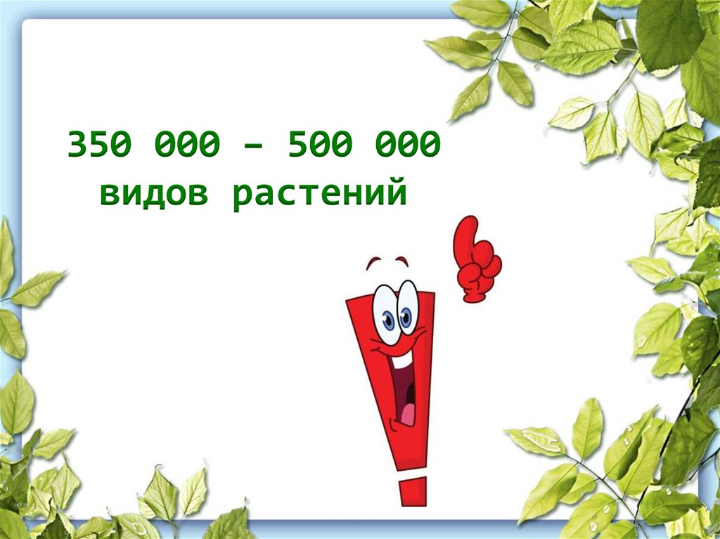 350 000 – 500 000 видов растений