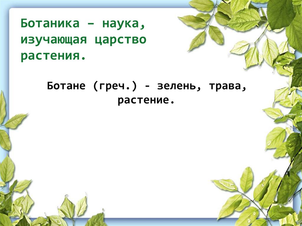 Ботаника – наука, изучающая царство растения.