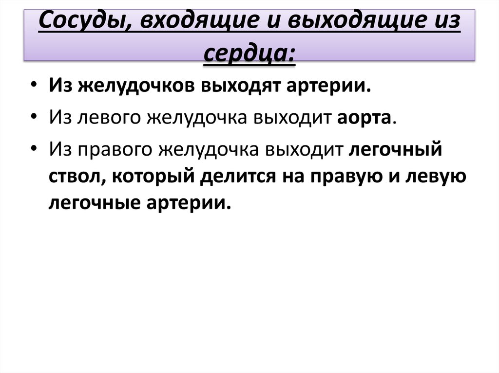 Сосуды, входящие и выходящие из сердца: