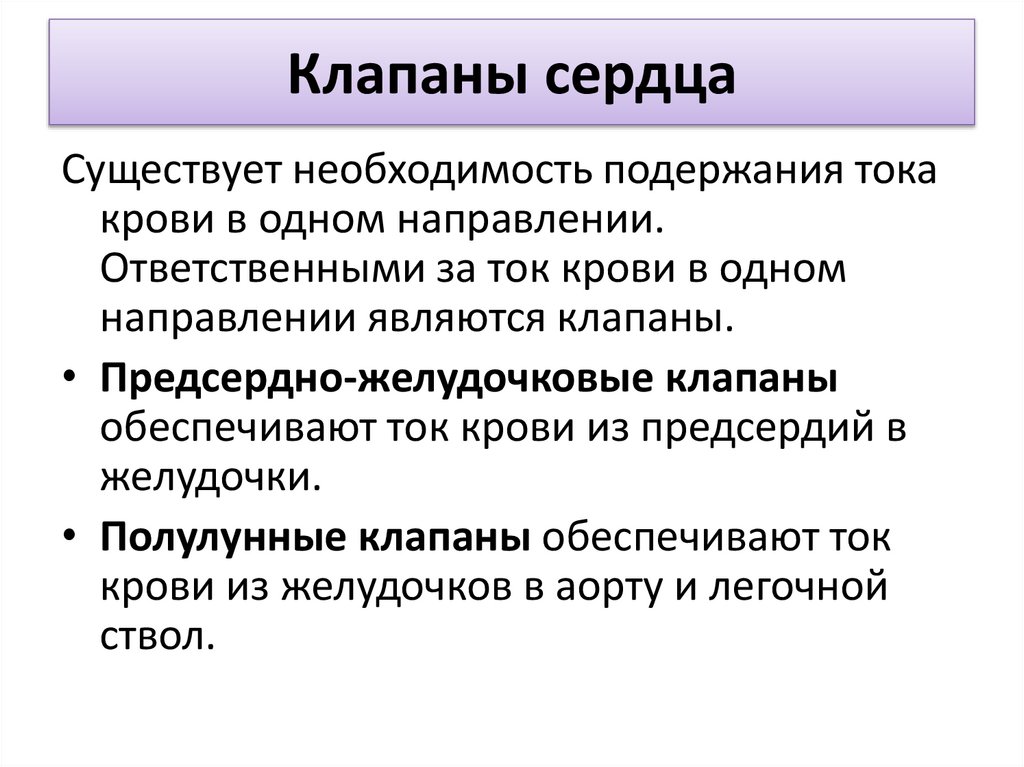 Клапаны сердца