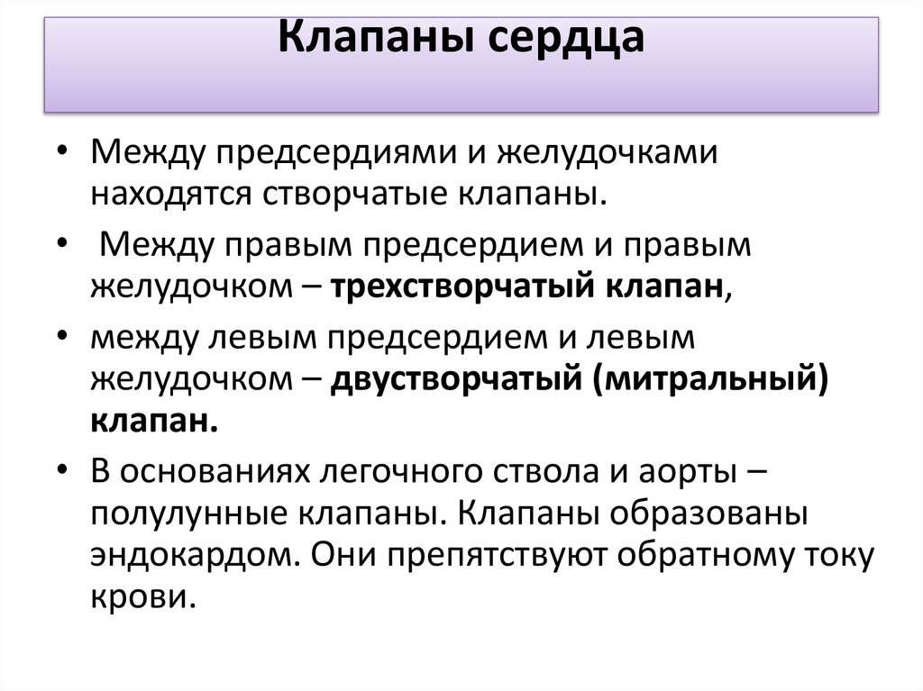 Клапаны сердца