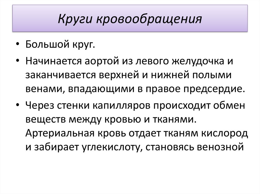 Круги кровообращения