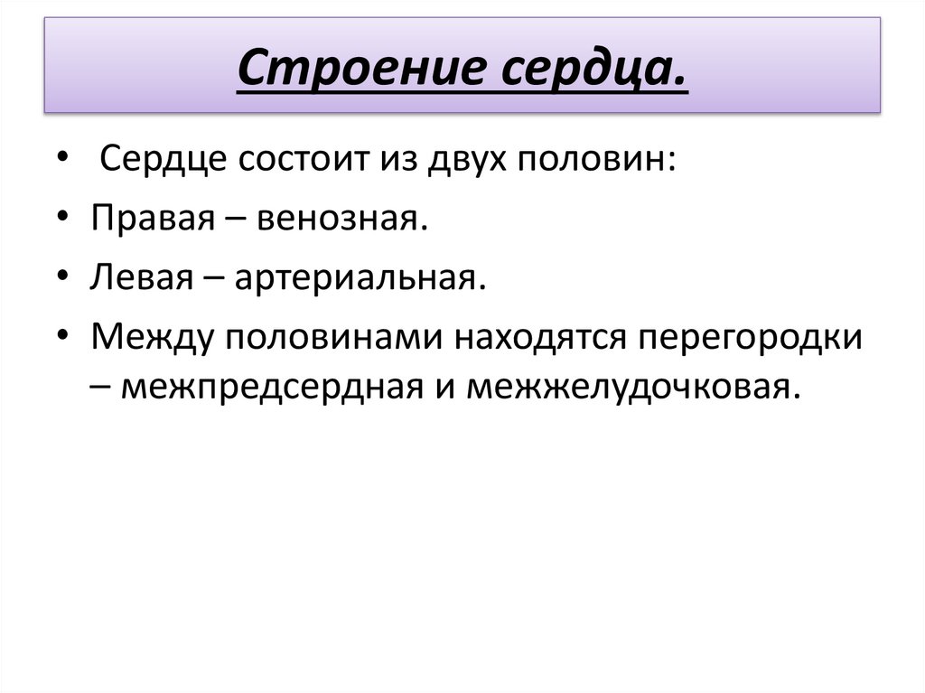 Строение сердца.