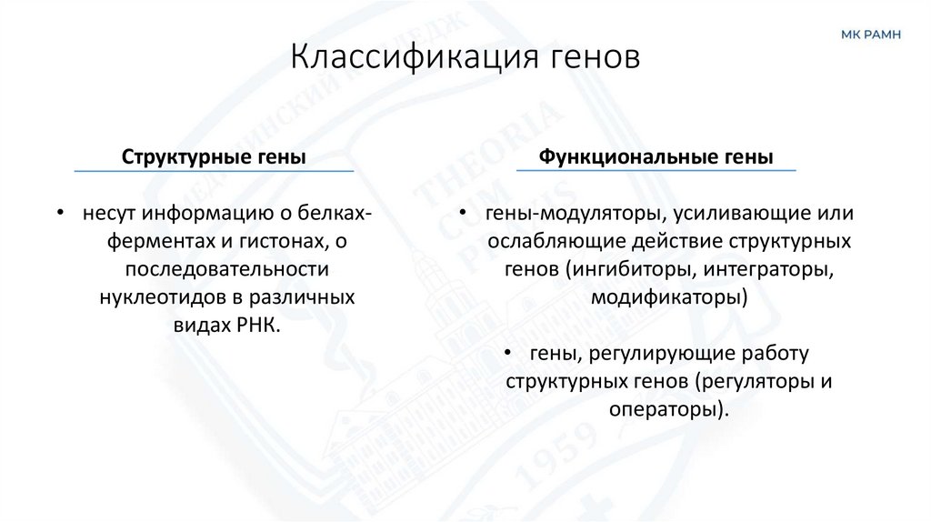 Классификация генов