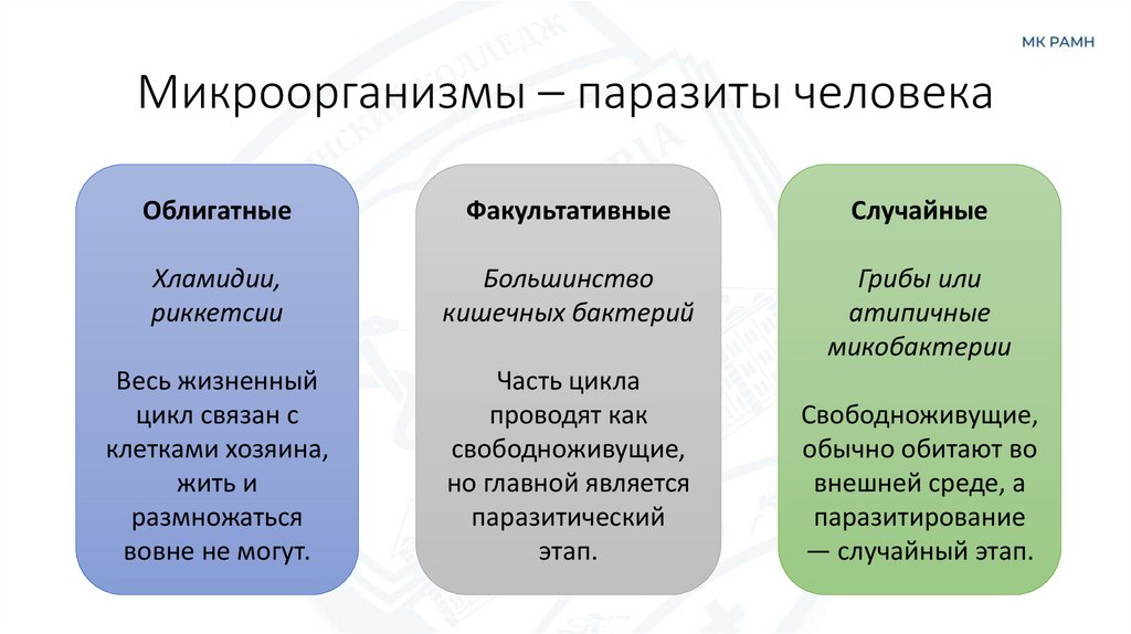 Микроорганизмы – паразиты человека