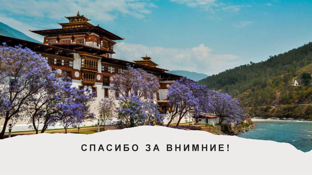 Спасибо за внимние!