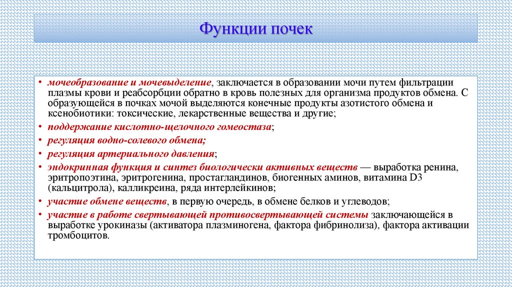 Функции почек