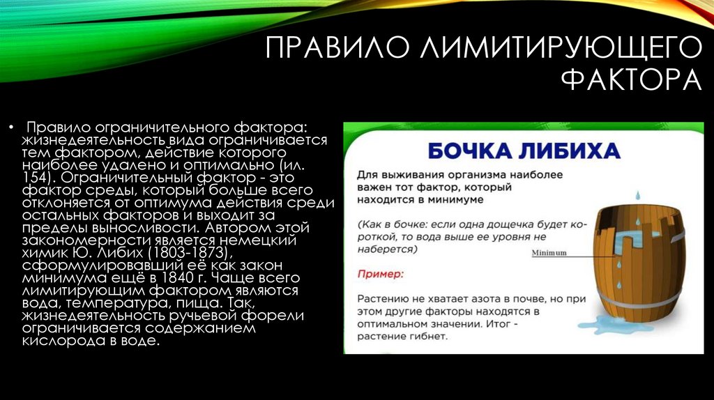 правило лимитирующего фактора