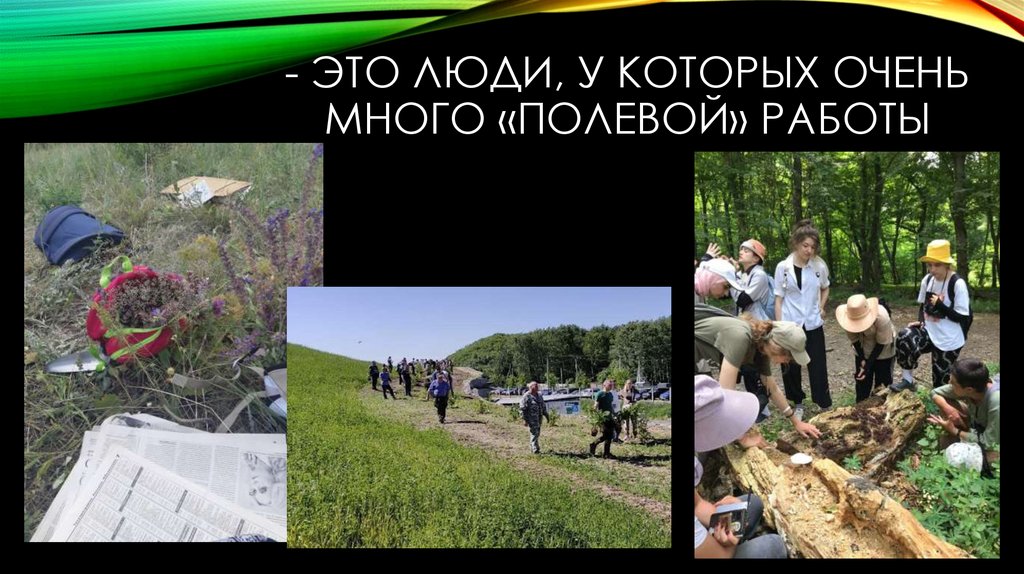 - Это Люди, у которых очень много «полевой» работы