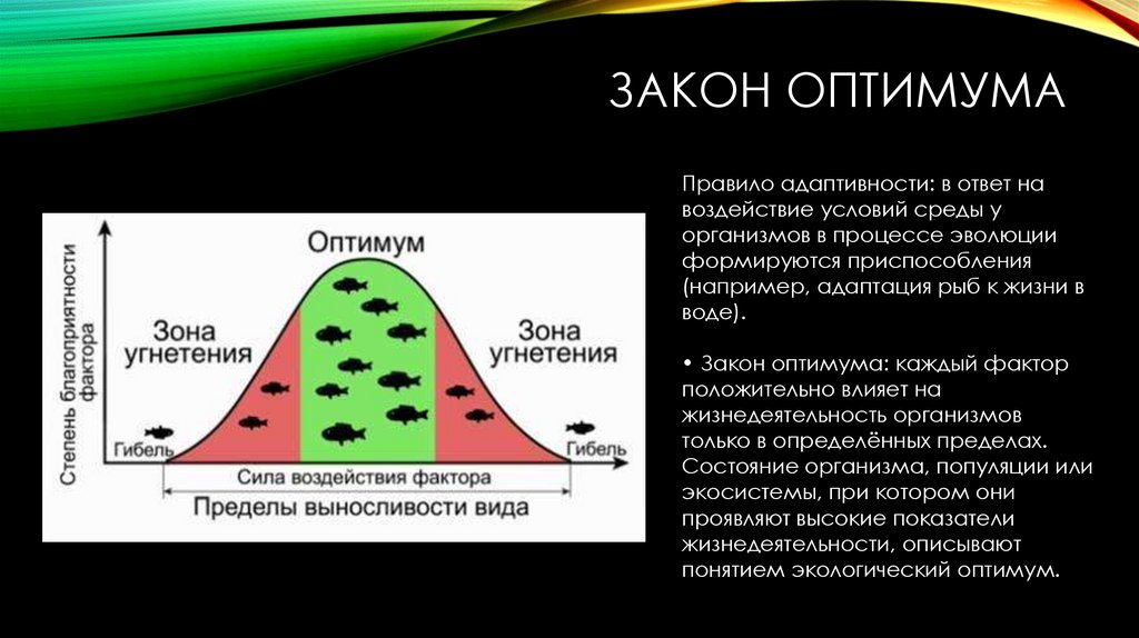 Закон оптимума