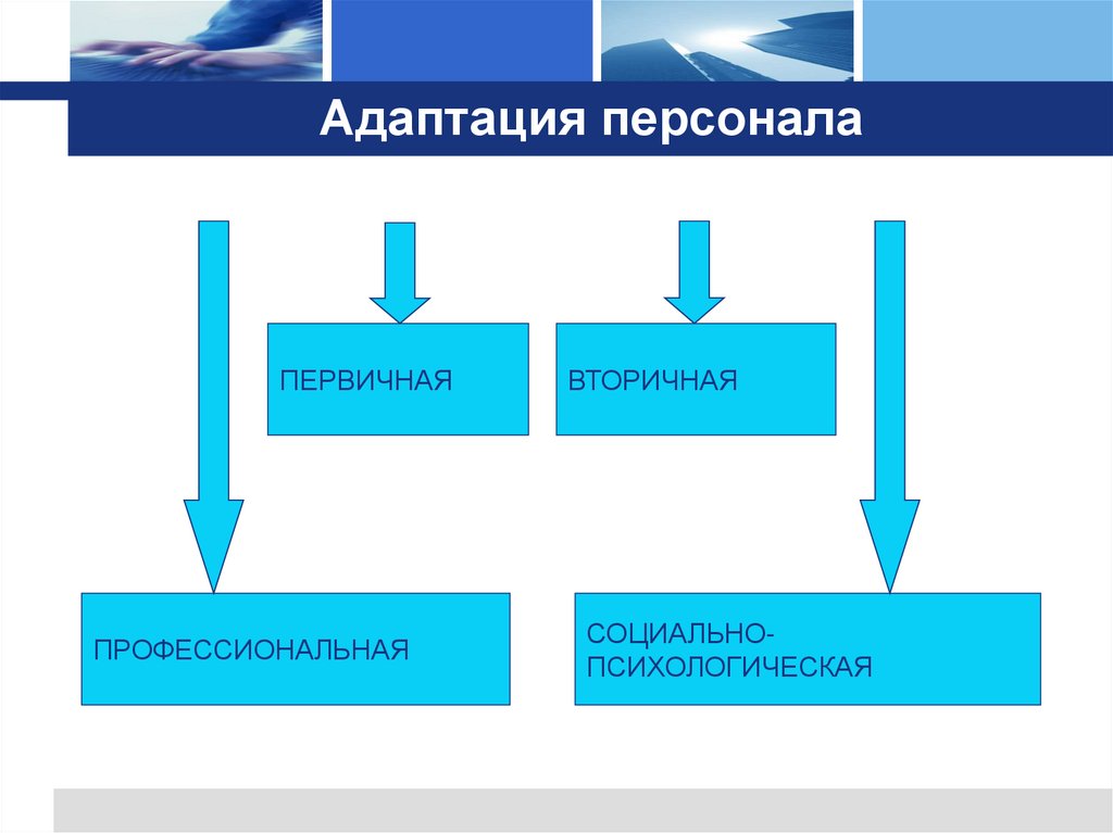 Адаптация персонала