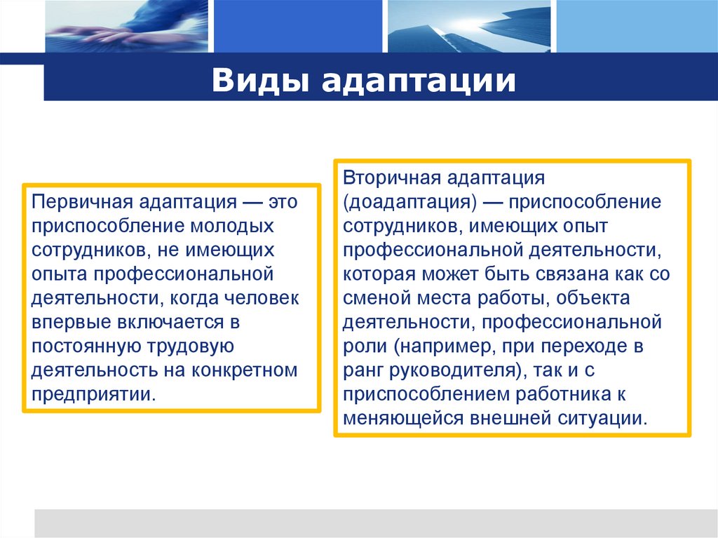 Виды адаптации