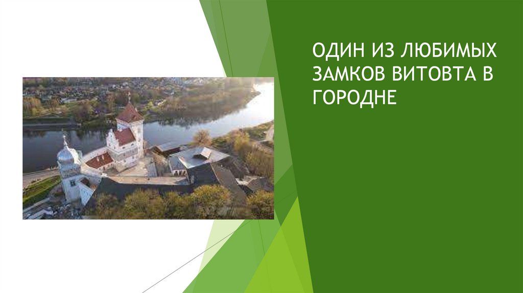 ЗАМОК В НОВОГОРОДКЕ