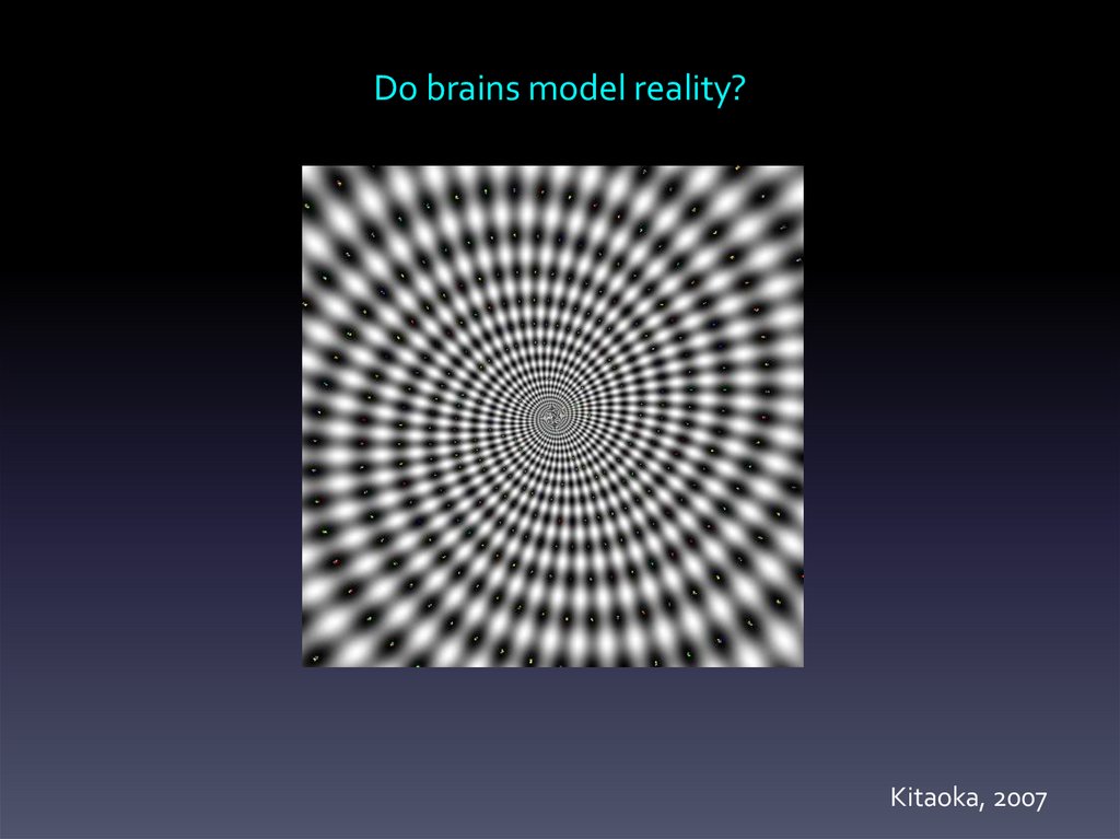 Do brains model reality?