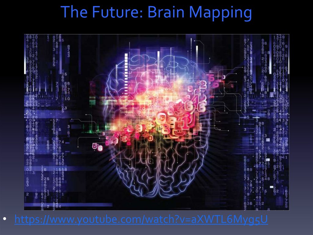The Future: Brain Mapping