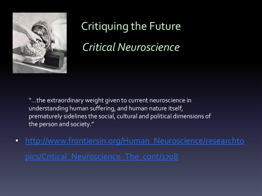 Critiquing the Future Critical Neuroscience