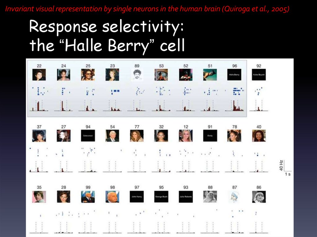Response selectivity: the “Halle Berry” cell