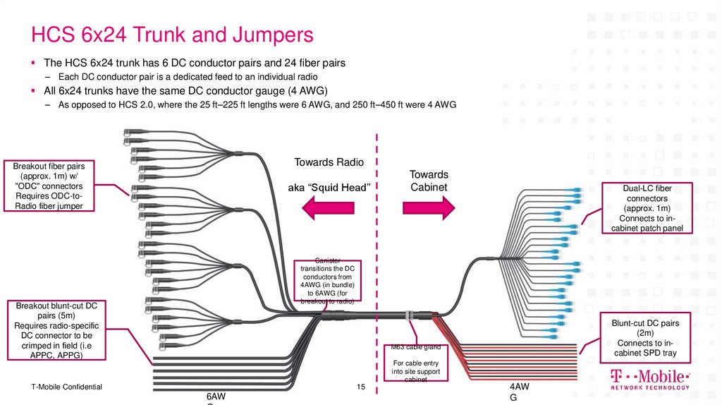 HCS 6x24 Trunk and Jumpers