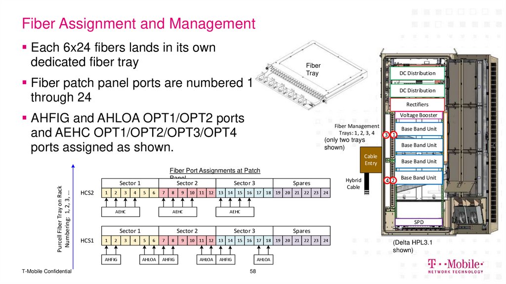 Fiber Assignment and Management