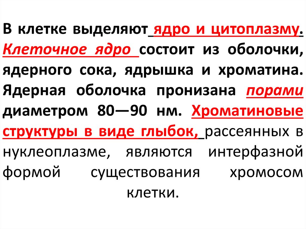 В клетке выделяют ядро и цитоплазму. Клеточное ядро состоит из оболочки, ядерного сока, ядрышка и хроматина. Ядерная оболочка