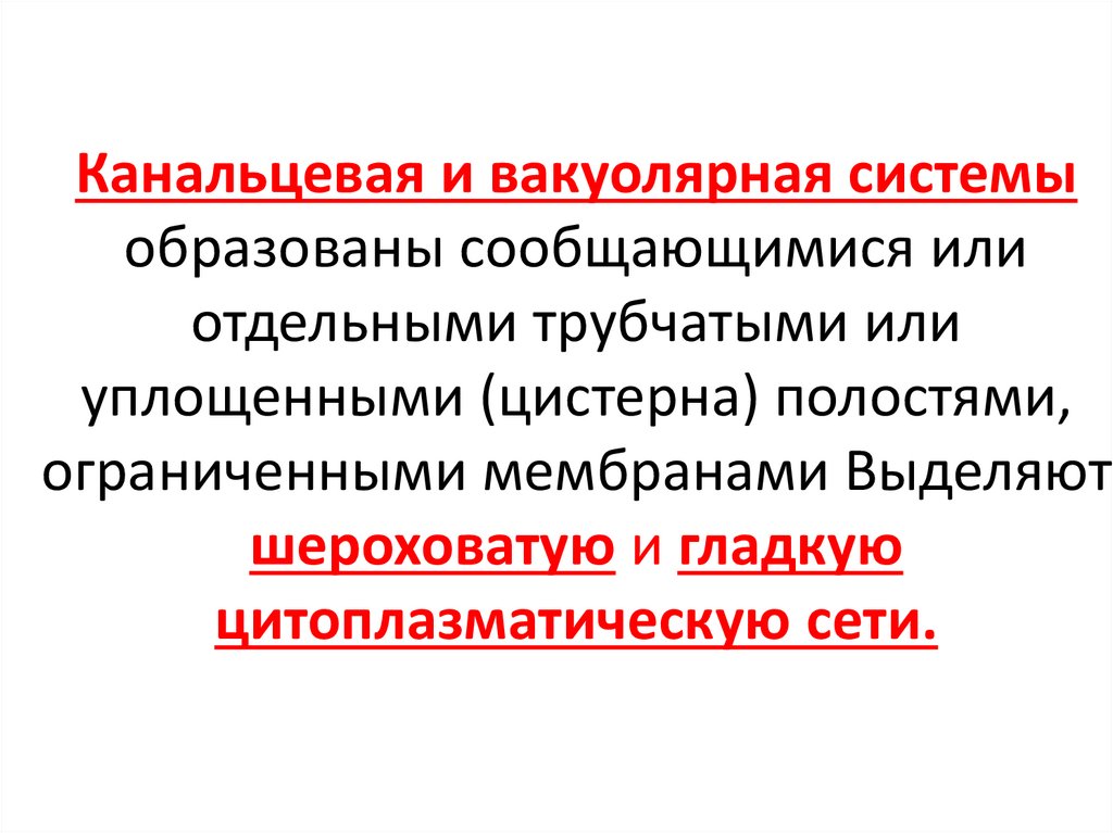 Канальцевая и вакуолярная системы образованы сообщающимися или отдельными трубчатыми или уплощенными (цистерна) полостями,