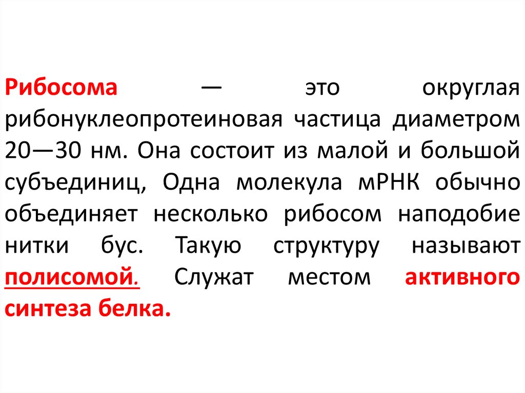Рибосома — это округлая рибонуклеопротеиновая частица диаметром 20—30 нм. Она состоит из малой и большой субъединиц, Одна