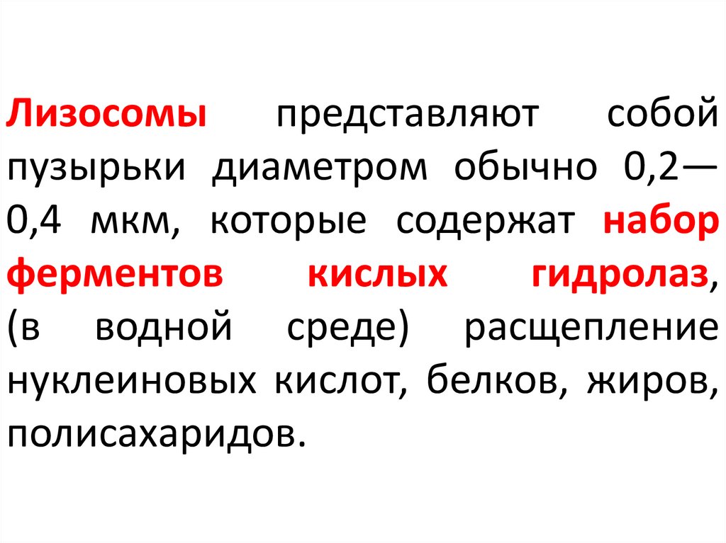 Лизосомы представляют собой пузырьки диаметром обычно 0,2—0,4 мкм, которые содержат набор ферментов кислых гидролаз, (в водной