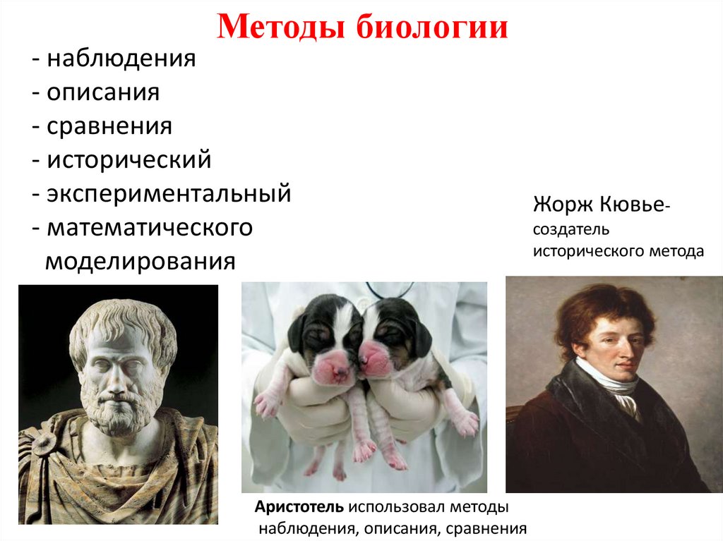 Методы биологии