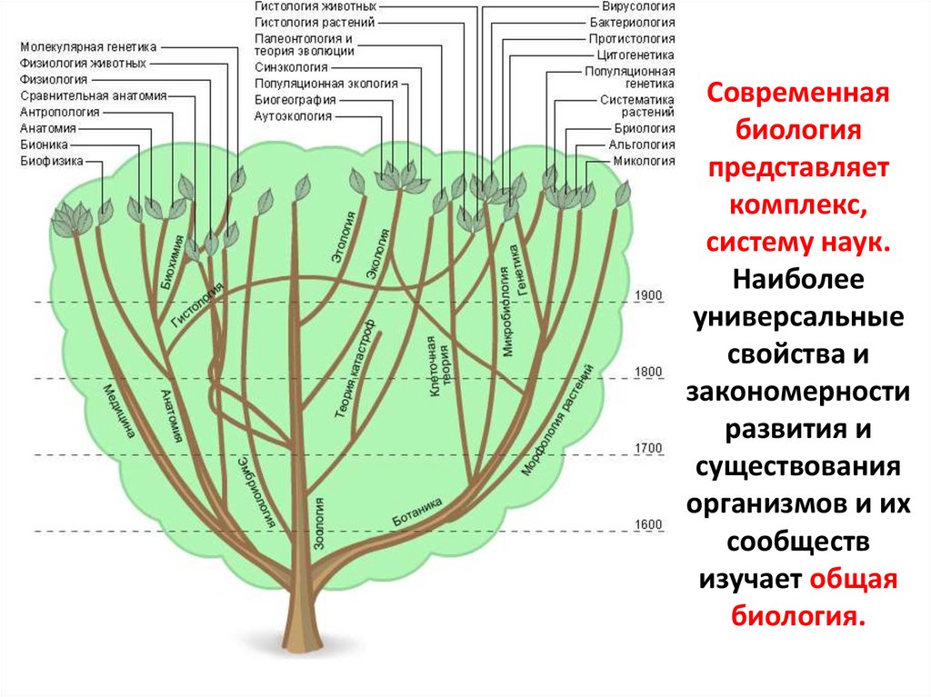 Современная биология представляет комплекс, систему наук. Наиболее универсальные свойства и закономерности развития и