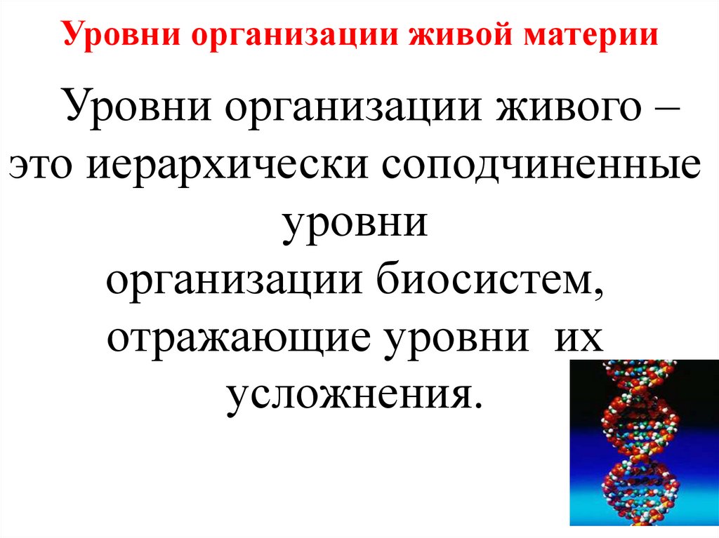 Уровни организации живой материи
