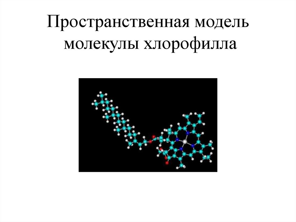Пространственная модель молекулы хлорофилла